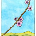 Foto de Tarot serrano, tarotista