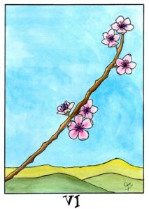 Foto de Tarot serrano, tarotista